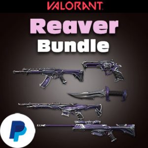 Valorant account with Reaver Bundle